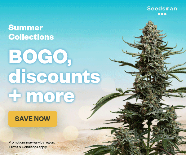 Summer Cannabis Seed Discounts!