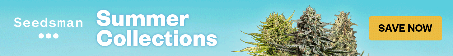 Summer Cannabis Seed Discounts!