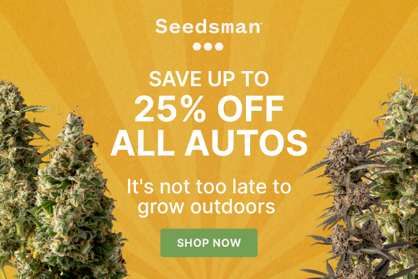 25% off Seedsman Auto Strains